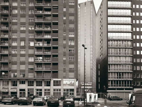 basilico1