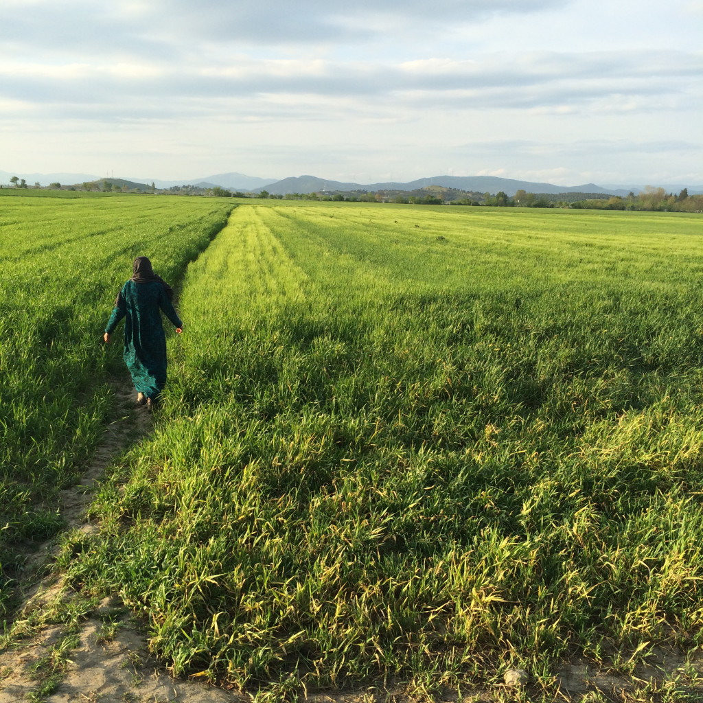 Idomeni-Orizzonte